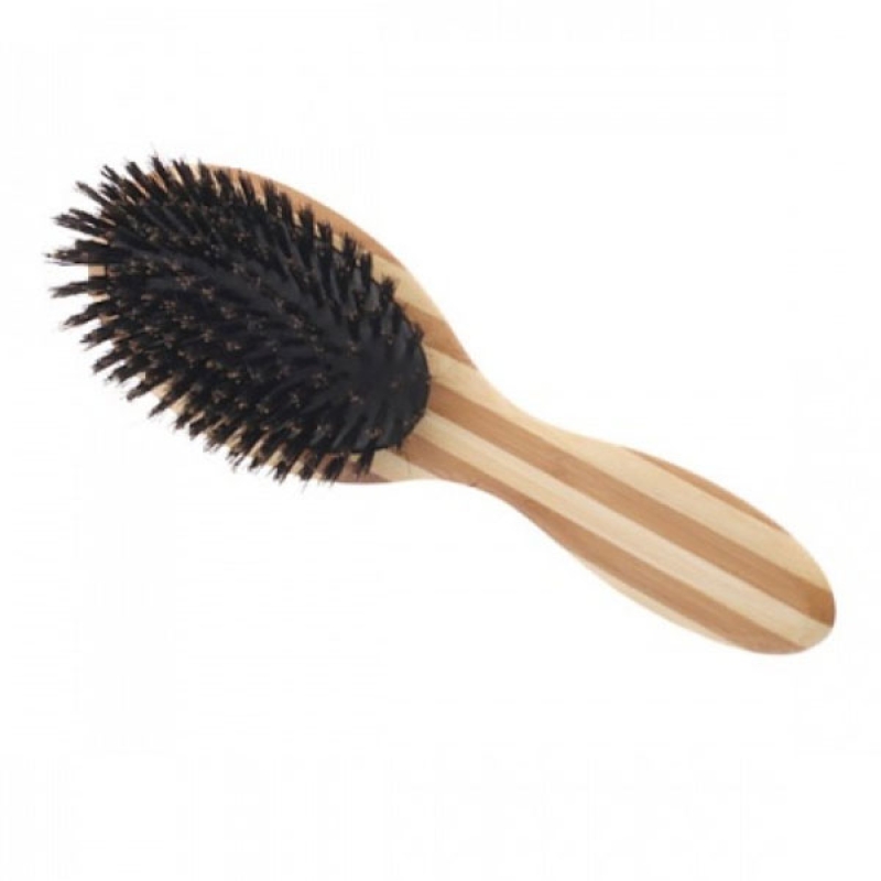 Accesorios para animales