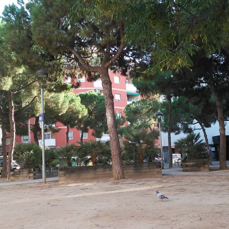 Rincones de El Prat . #pratfinques #inmobiliaria #elpratelmeullocalmon #elpratmola